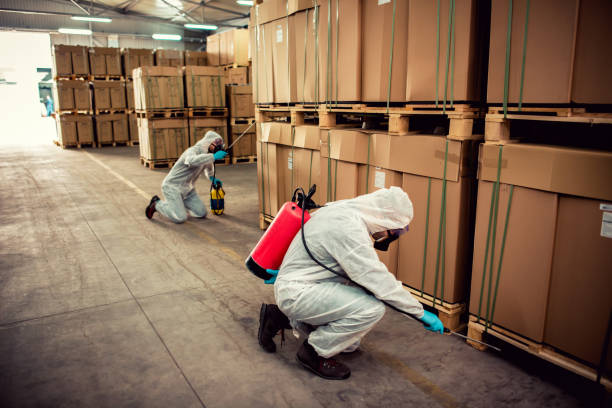 Best Ant Control Services  in Shannon, GA