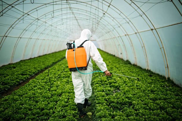 Best Commercial Pest Control Services  in Shannon, GA