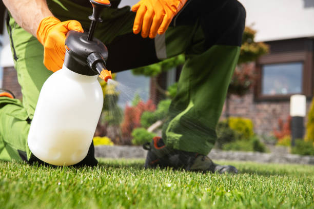 Best Affordable Pest Control Services  in Shannon, GA