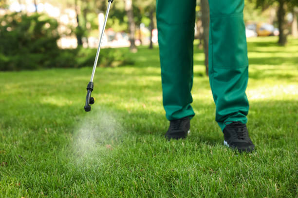 Best Emergency Pest Control  in Shannon, GA