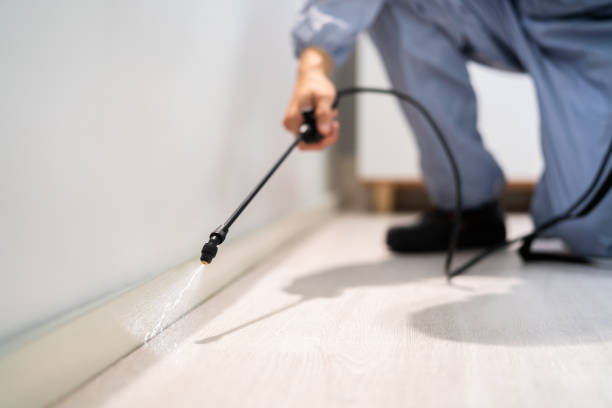 Professional Pest Control in Shannon, GA