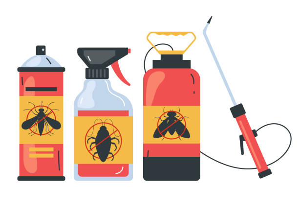 Best Insect Control  in Shannon, GA