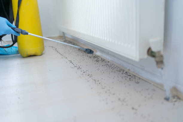 Best Pest Prevention Services  in Shannon, GA