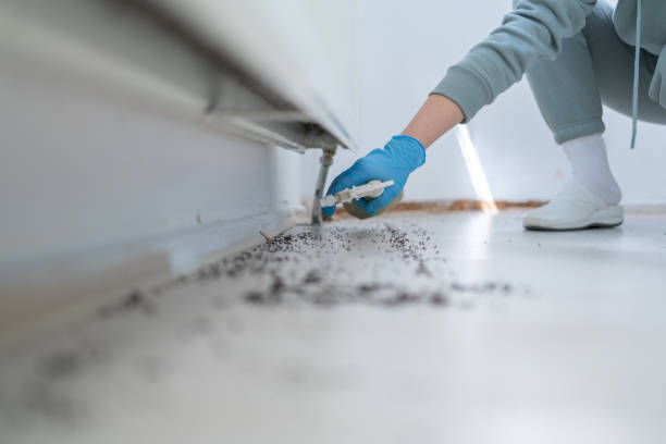 Best Cockroach Control Services  in Shannon, GA